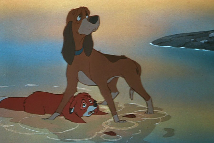 Hound dog Copper protects his one-time childhood friend Tod from the aim of his owner in the films climatic scene (Disney). 
