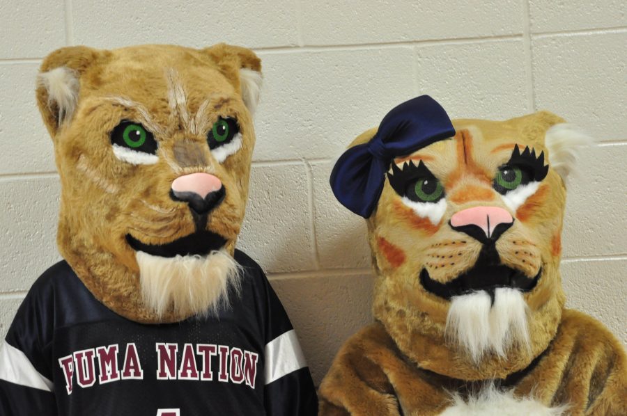 Perrys mascots side by side at the start of the new school year.