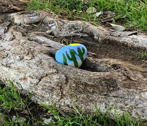 A rock painted with a desert cactus design rests along a tree root unearthed in the ground 