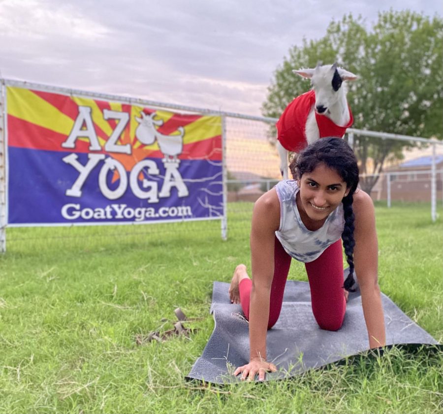 Junior Emma James doing yoga with a goat on her back. AZ goat yoga is one of the many different activities in Arizona to enjoy. 