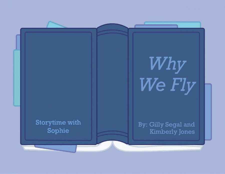 Why We Fly is a young adult novel about cheerleading and social activism. It can bring about important discussions, and can be found at Barnes and Noble. 