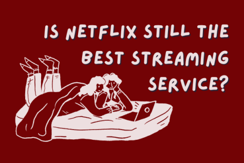 Netflix may be the industry standard...but is it the best?