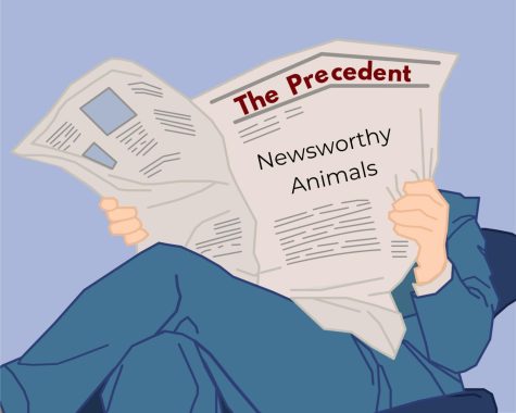 Newsworthy Animals