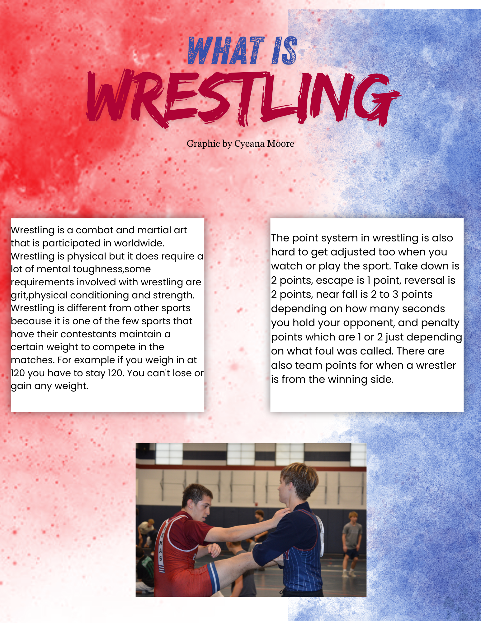 What is Wrestling